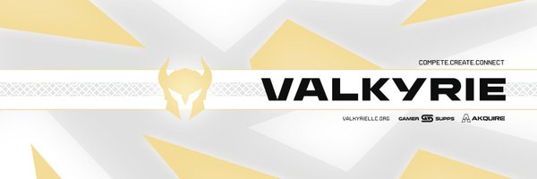 VALKYRIE Profile Banner