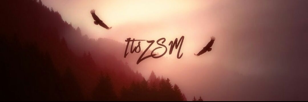 ItsZSM's profile banner image