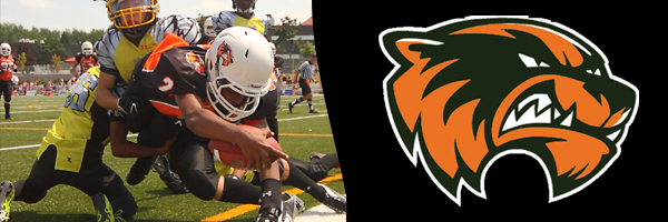 Peterborough Wolverines Football Club banner