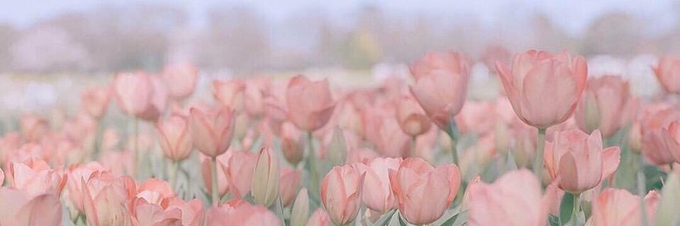 ♡ banner