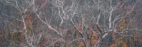 ablokecalledtom Profile Banner