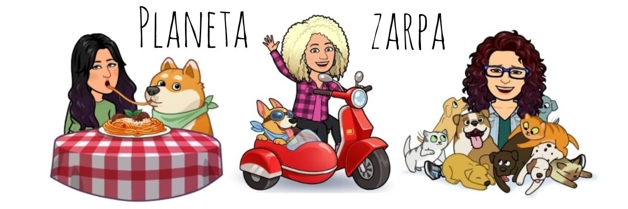 ᑭᏞᗩᑎᗴᎢᗩ Ꮓᗩᖇᑭᗩ's banner