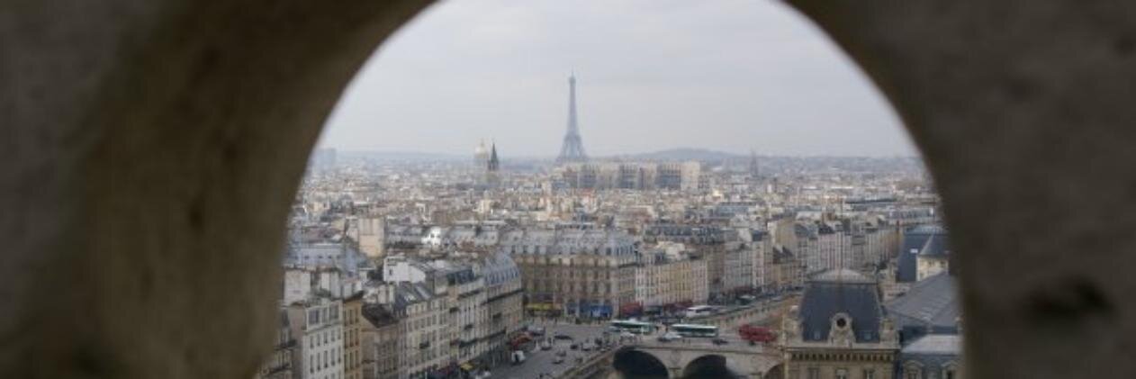 Felicity Foster banner