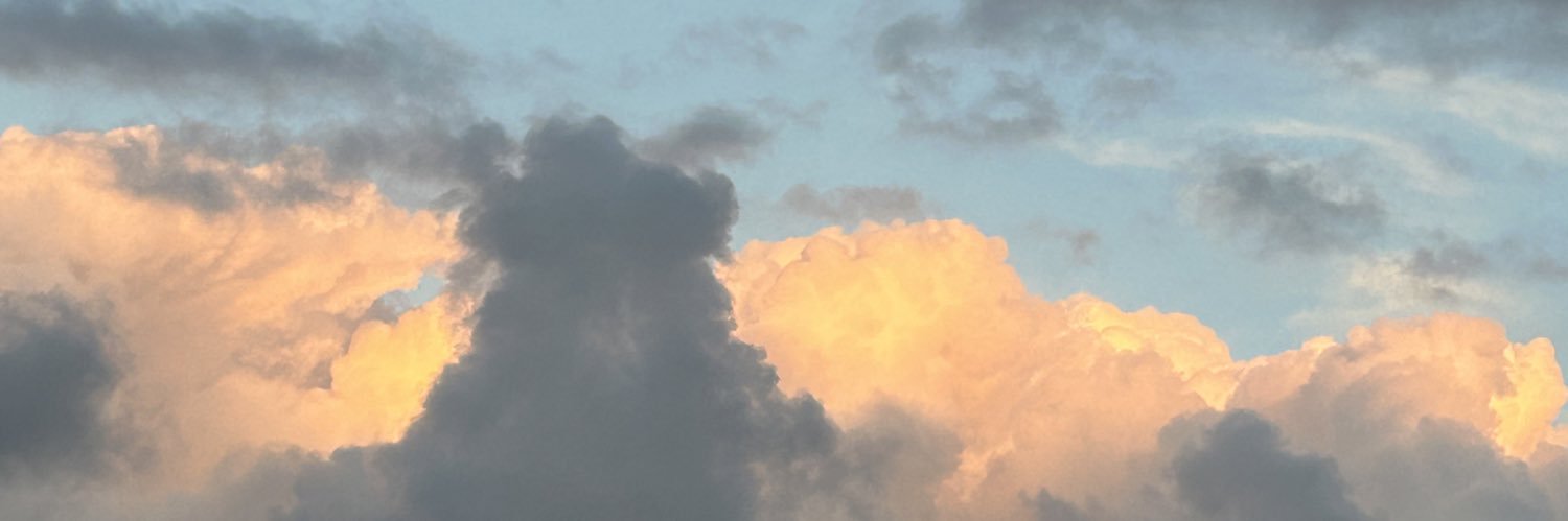ttfiorucci's profile banner image