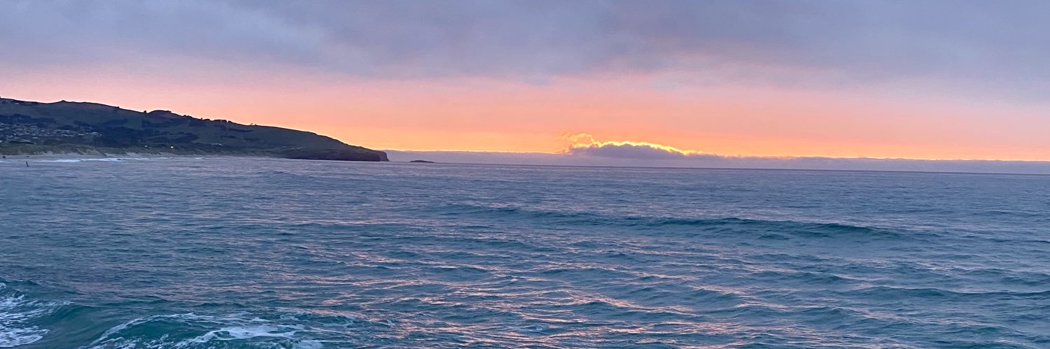 Michael Rippon banner