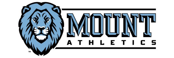 MSDA_Lions Profile Banner