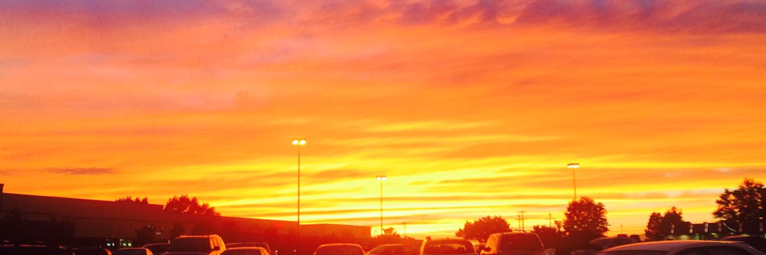 Forest Stulting banner