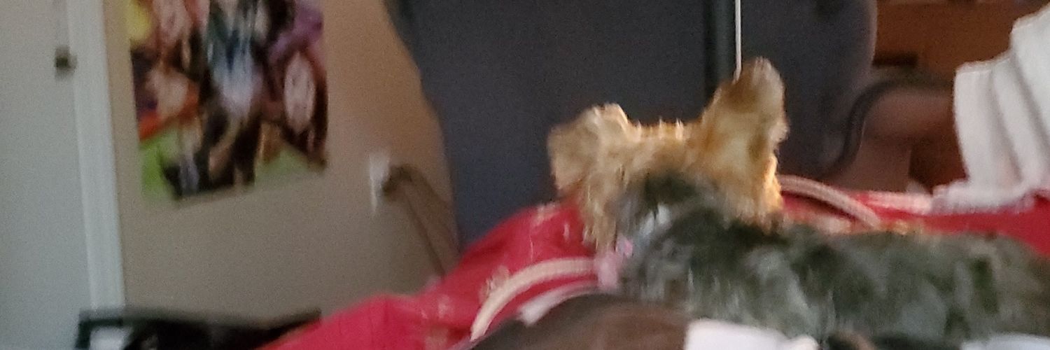 Jess banner