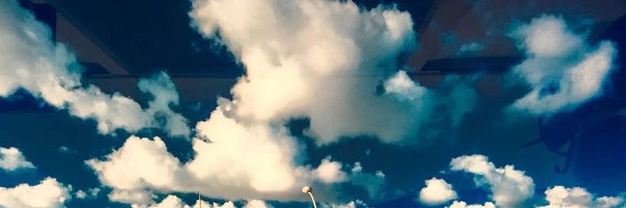 eyalzuko's profile banner image