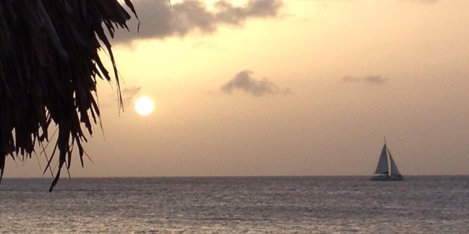 SraSeele's profile banner image