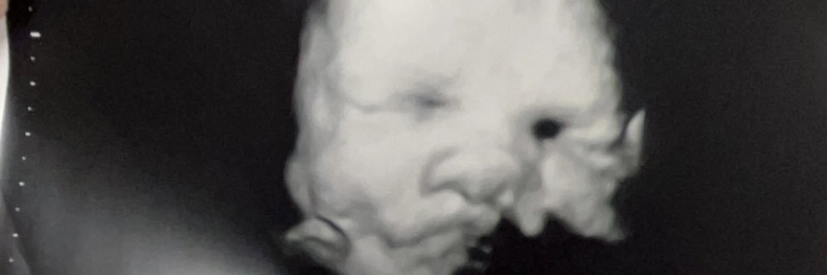 haileylang16's profile banner image