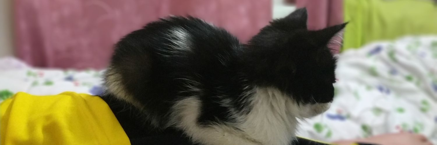 Mahmutertt's profile banner image