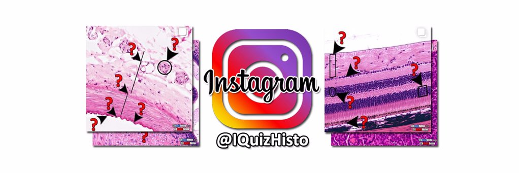 IQuizHisto's profile banner image