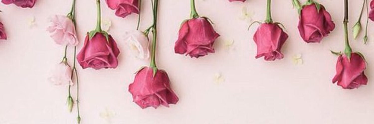 aisha1402's profile banner image