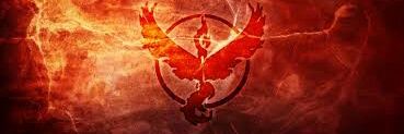 Brun0P7lz's profile banner image