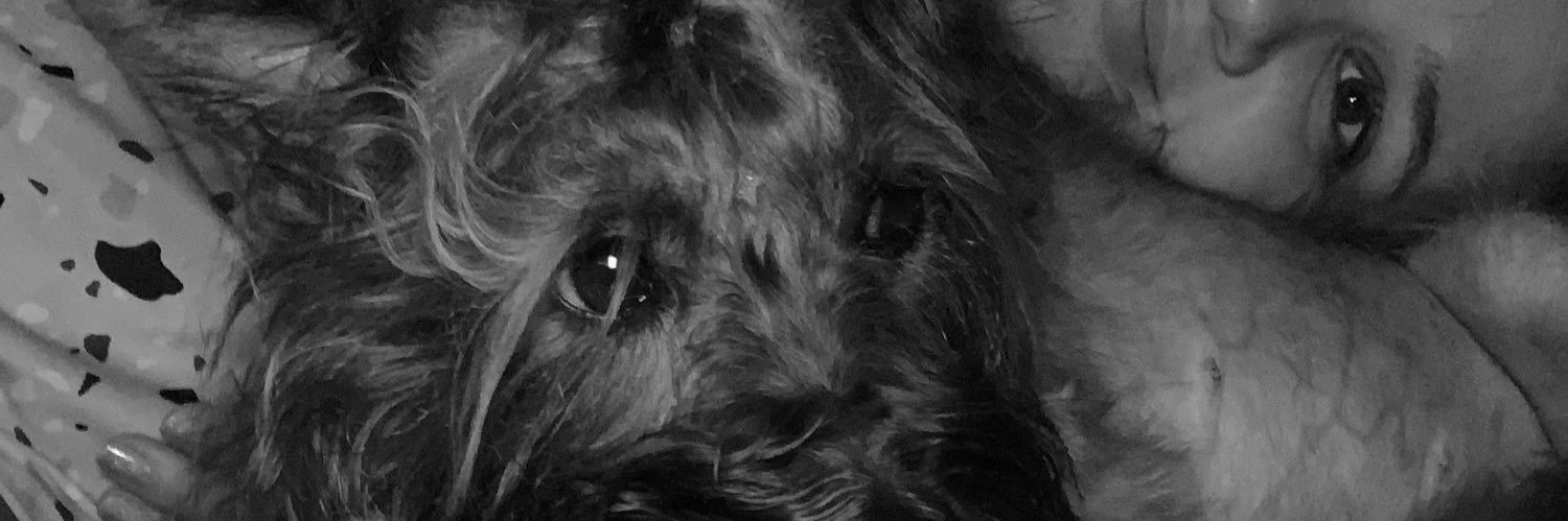 natgirotti's profile banner image