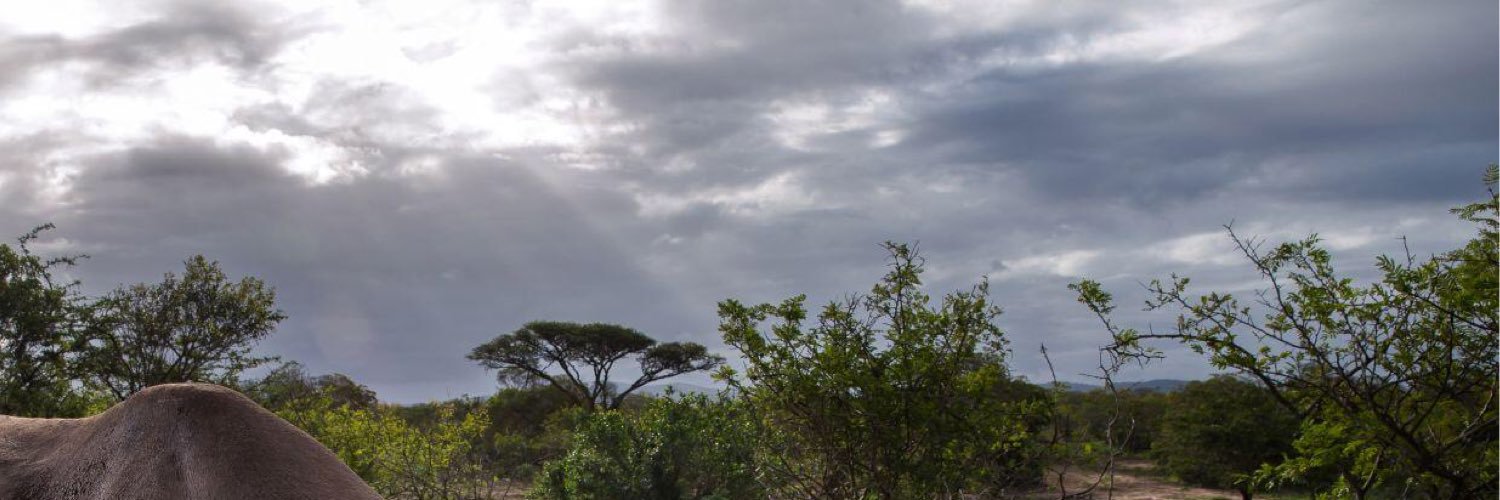 YAArrad's profile banner image