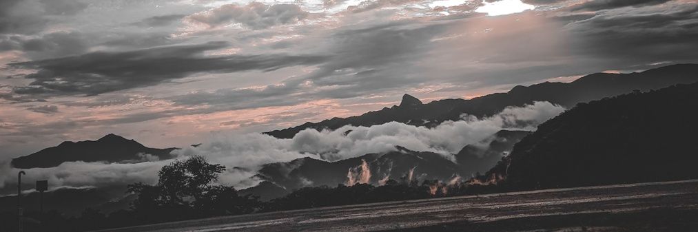 Avontzz_'s profile banner image