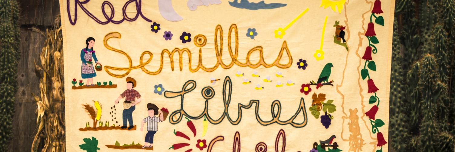 semilla_austral's profile banner image