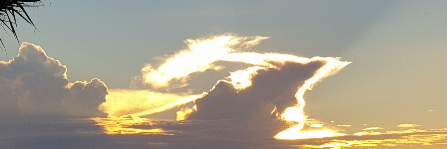 MissNads22's profile banner image