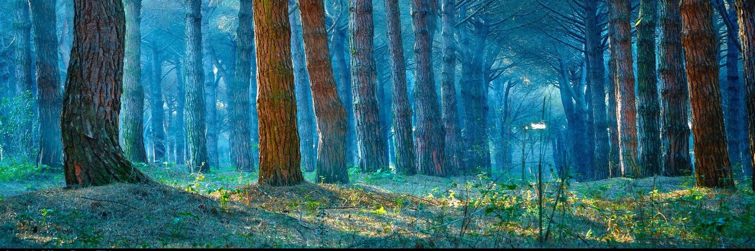 patoustede's profile banner image