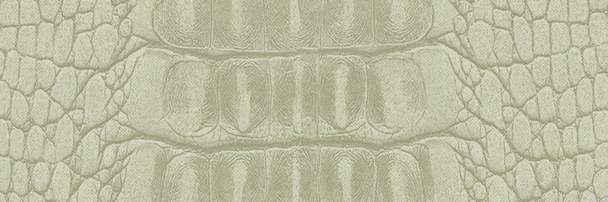 lucybee14's profile banner image