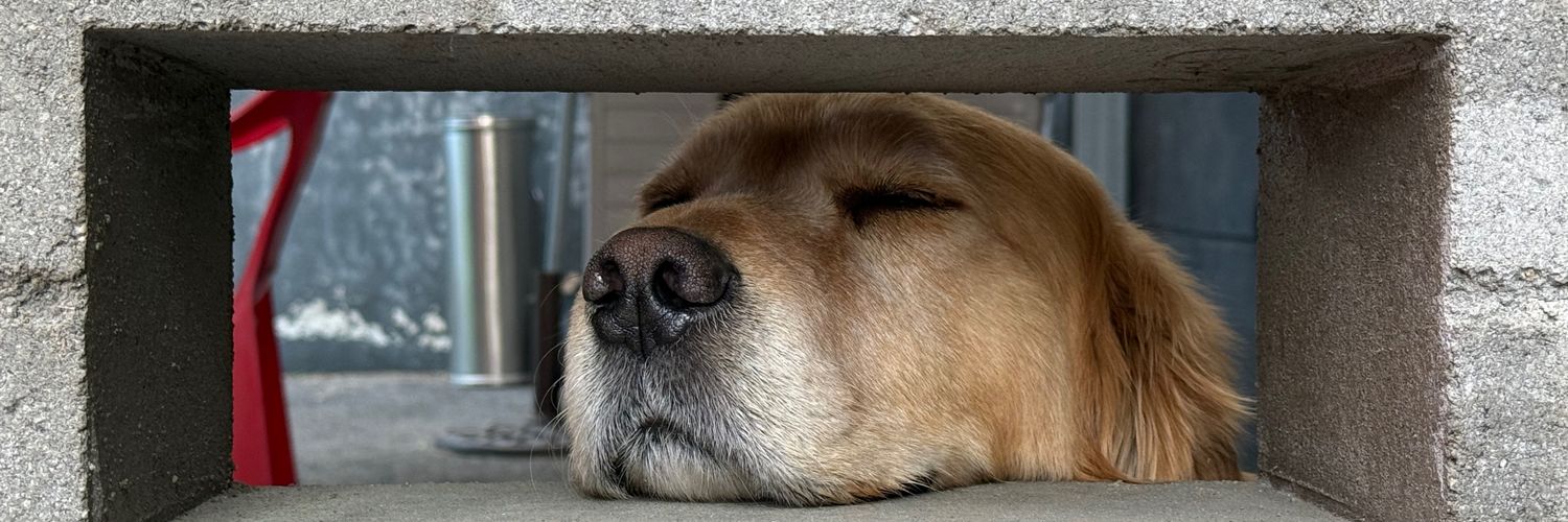 PPPPPPPnnng's profile banner image