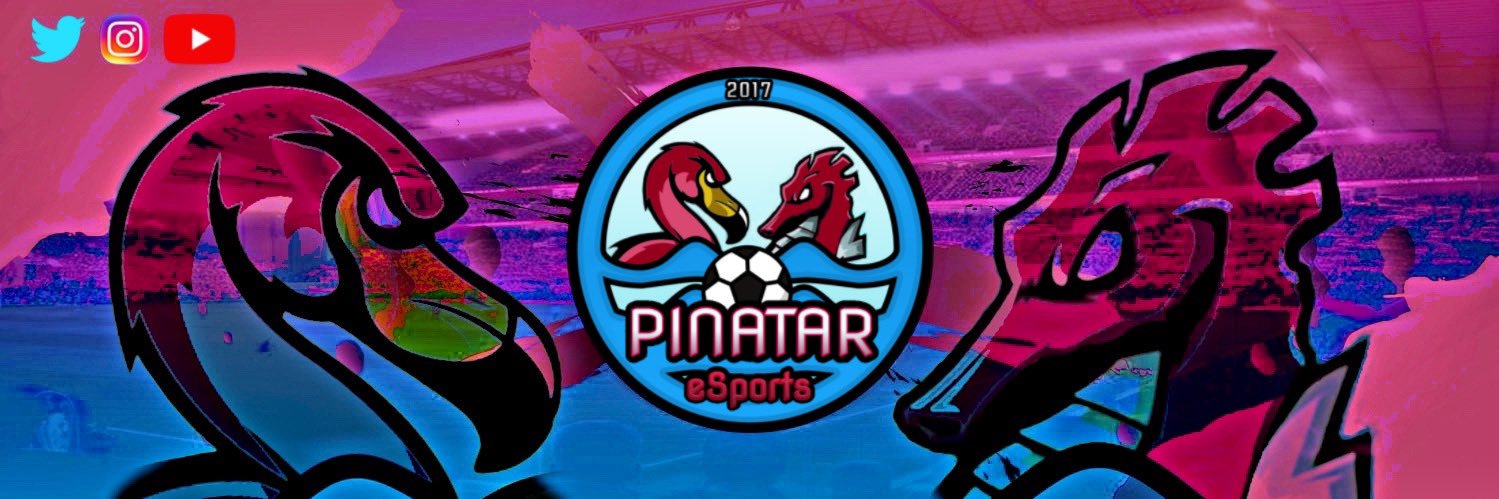 Pinatar eSports banner
