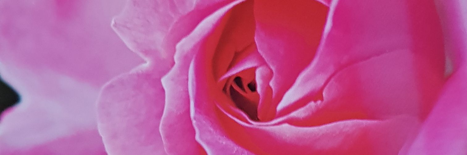 PetraJene's profile banner image