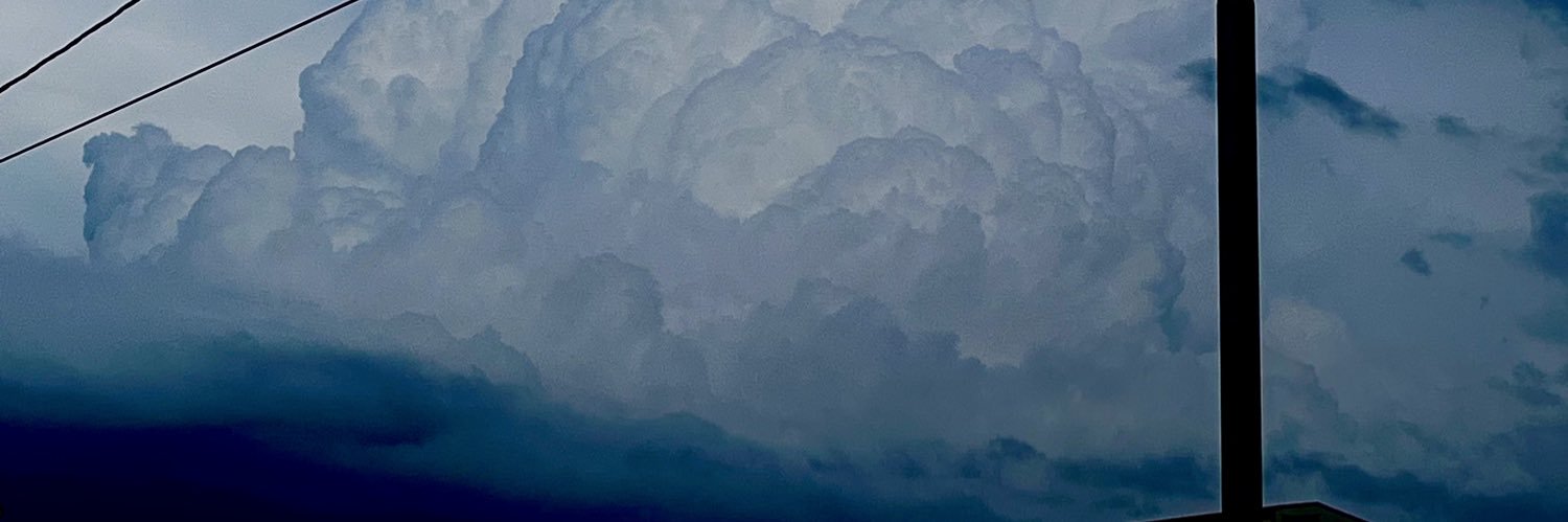 seldomPearl_'s profile banner image