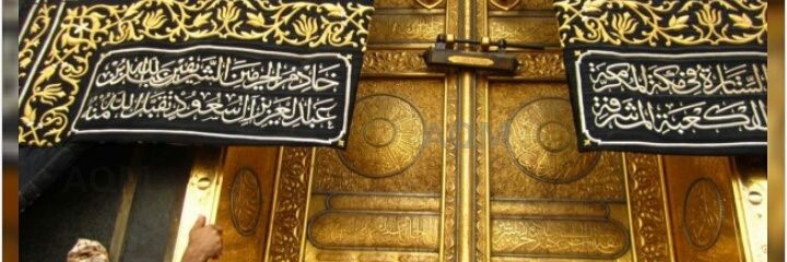 niepunyaa's profile banner image