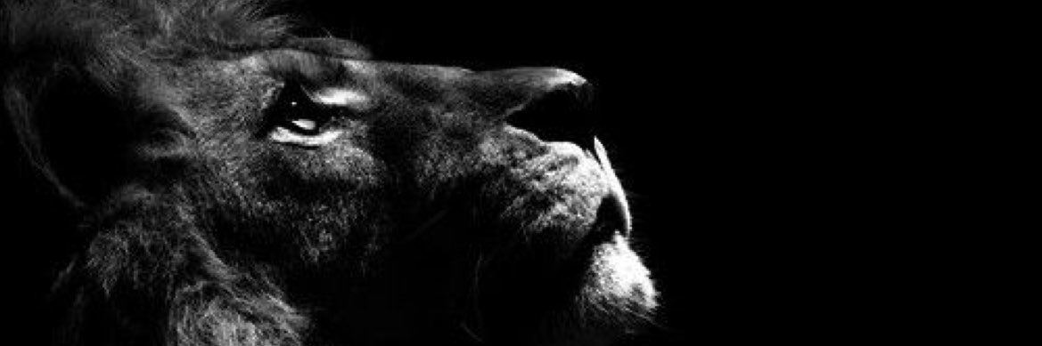 _henriqueT's profile banner image