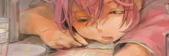 Ruka_ningen's profile banner image