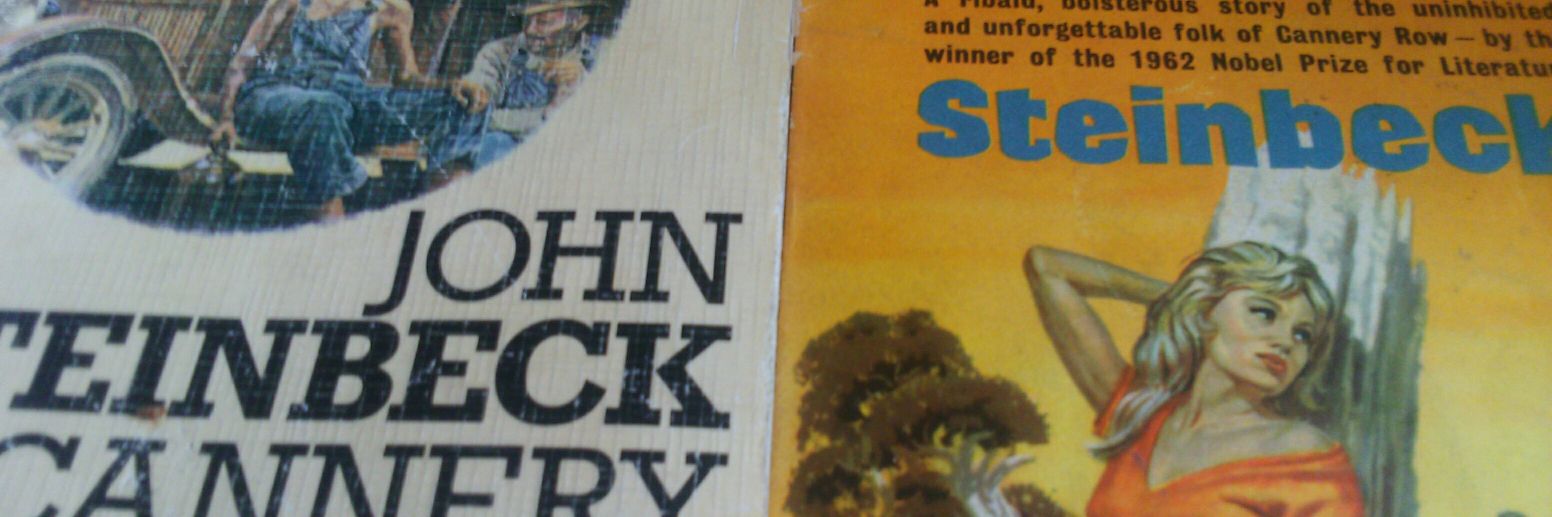 PunkRockGarden's profile banner image