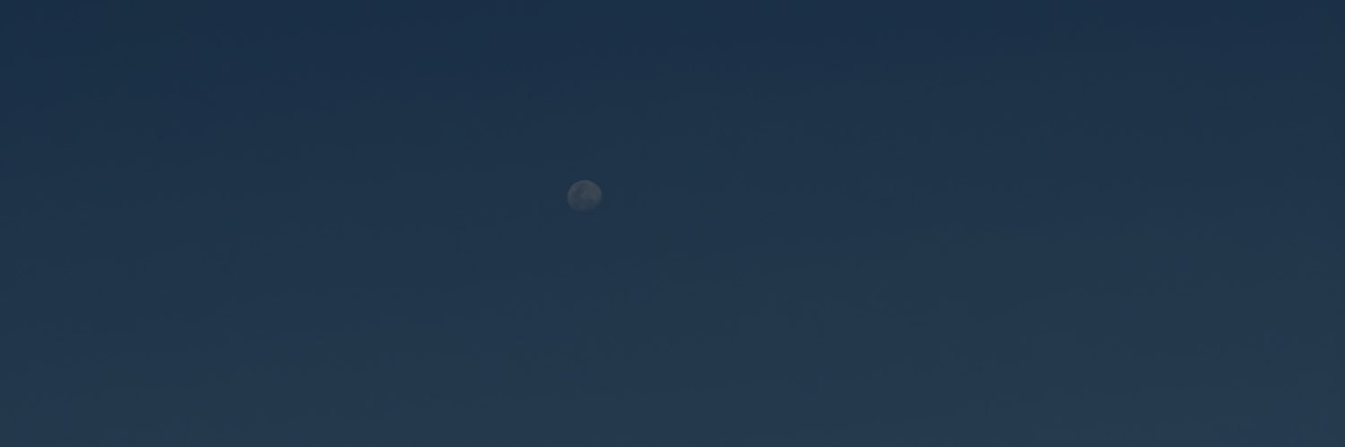 Seyshellss's profile banner image