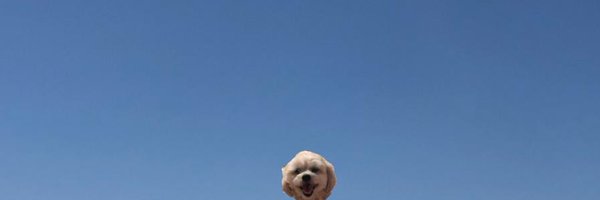 colebajema22 Profile Banner