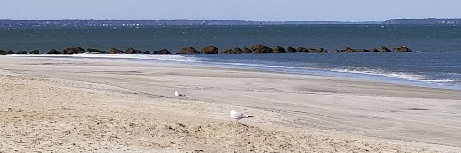 DrSheppardFloyd's profile banner image