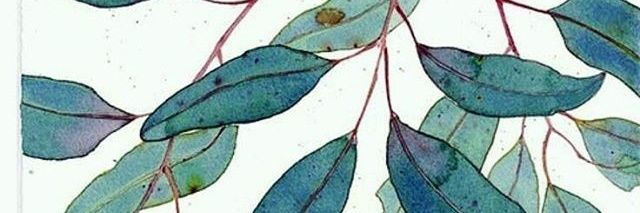 HellaStrangeMe's profile banner image