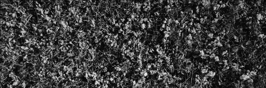 intotheoceanof's profile banner image