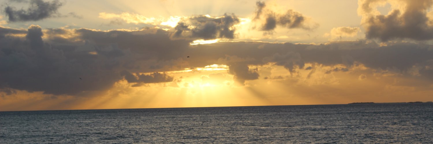 snooping12341's profile banner image