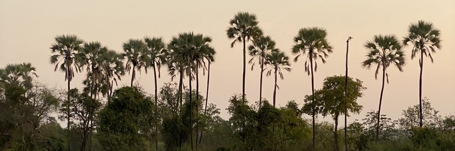 milosadler's profile banner image