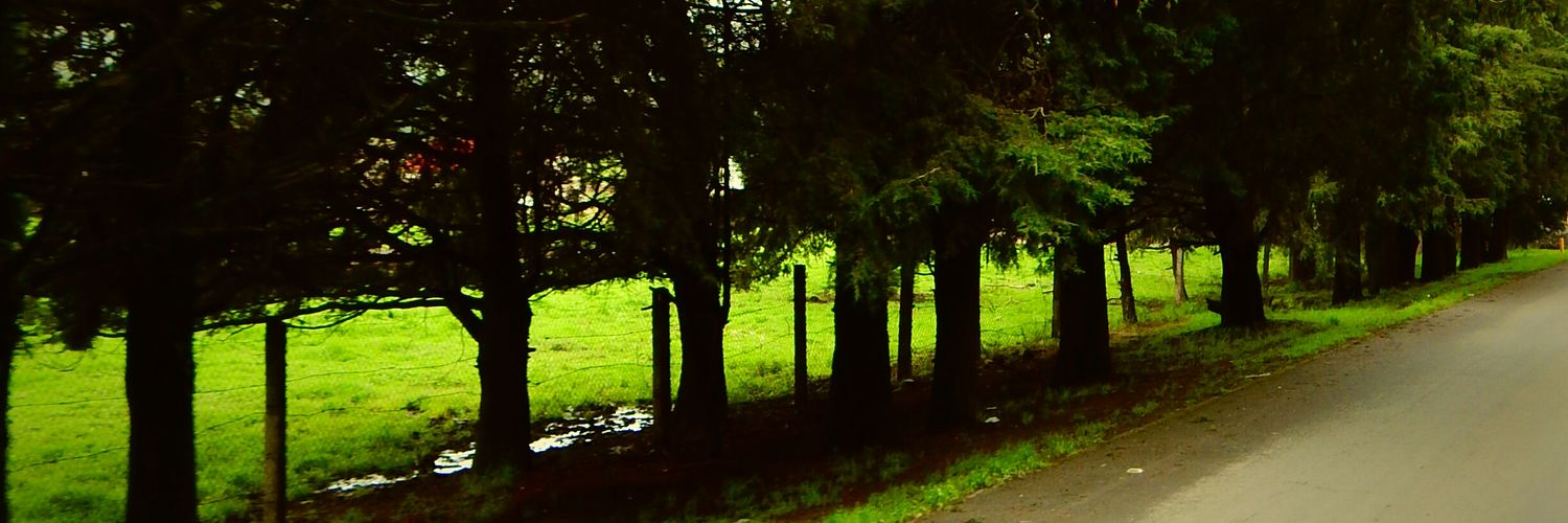 Mrs_JuNa's profile banner image
