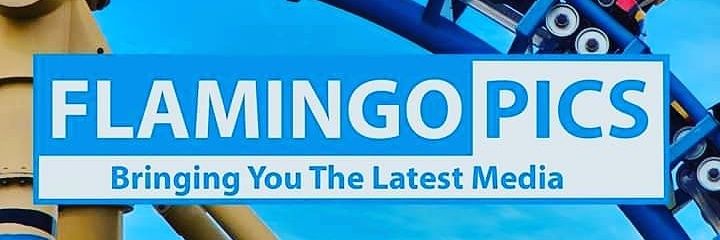 flamingopicsuk's profile banner image