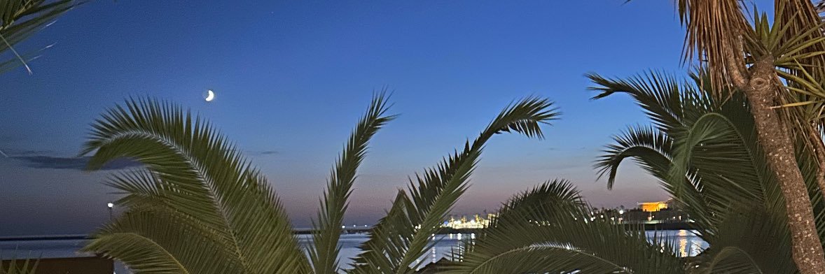 natalie 😁 mbj campaign manager banner