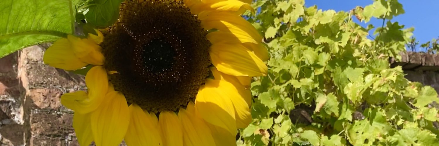 Chenoa_F's profile banner image