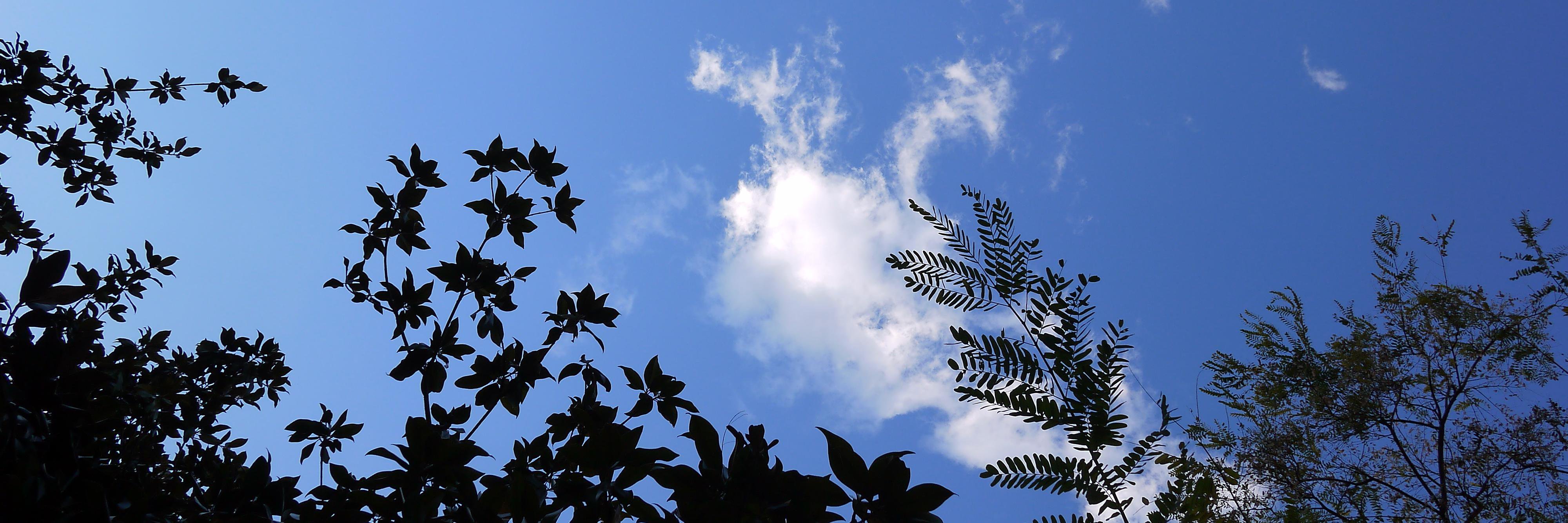 Heather Rumble banner