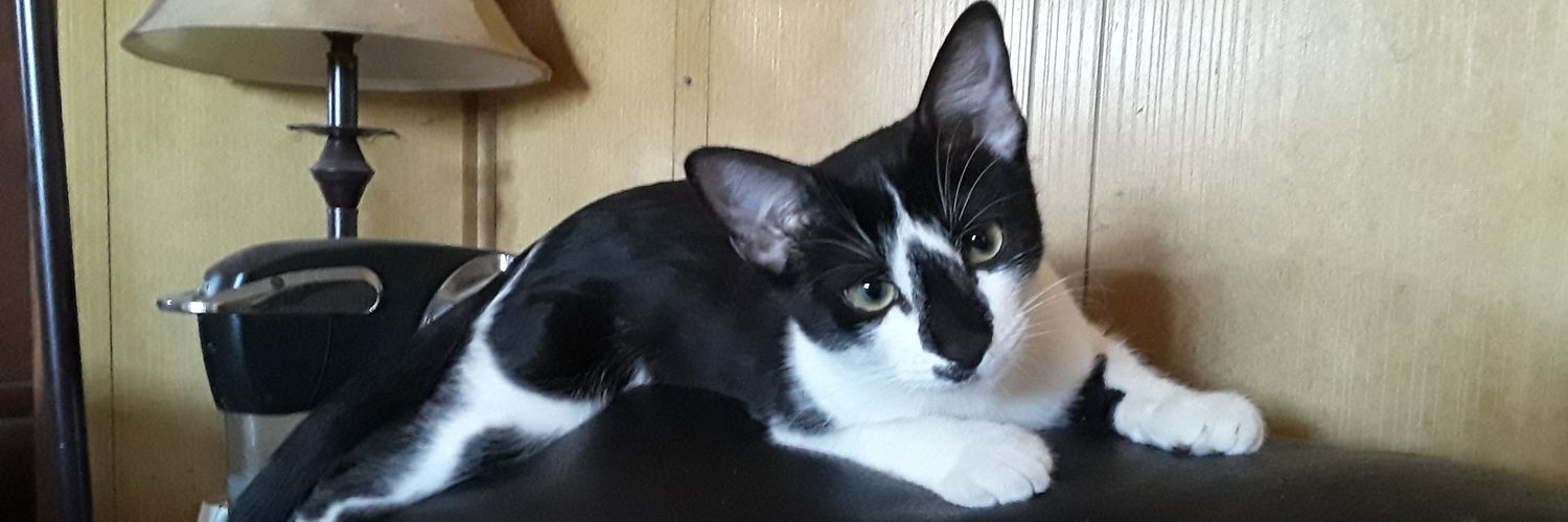 pzunigo's profile banner image
