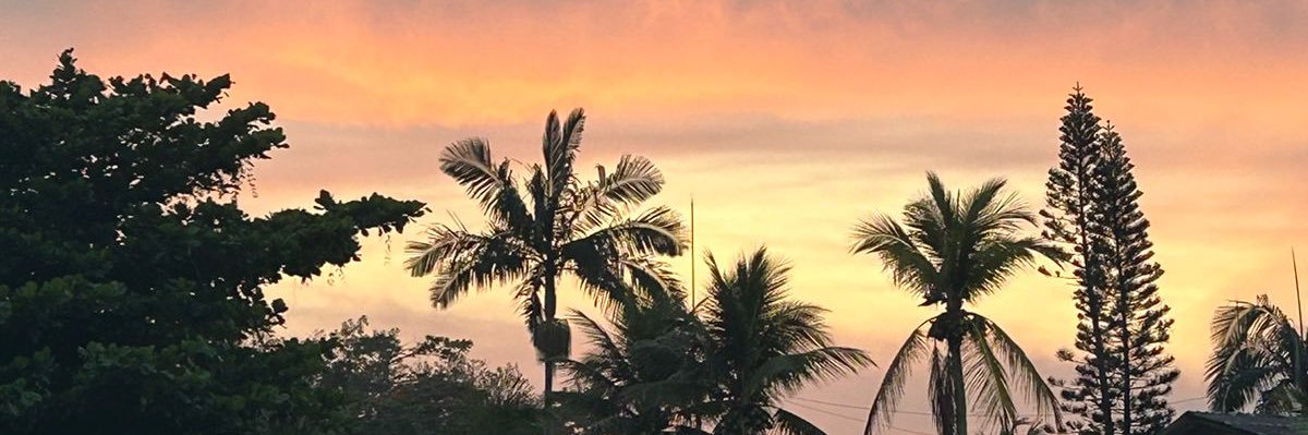 sarahv_cs's profile banner image