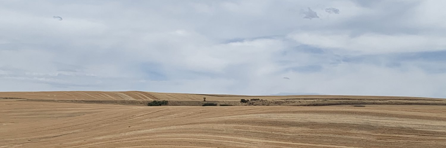 1RandoIT's profile banner image