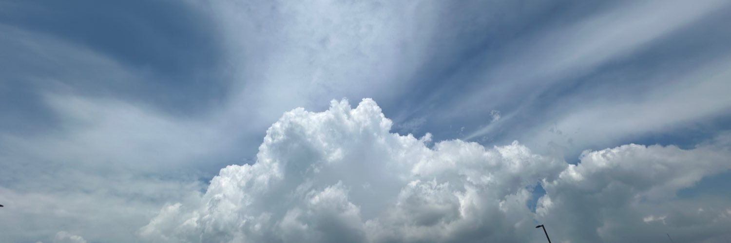 Terilyn Photography banner